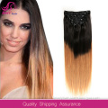 factory wholesale human hair clip in top closure